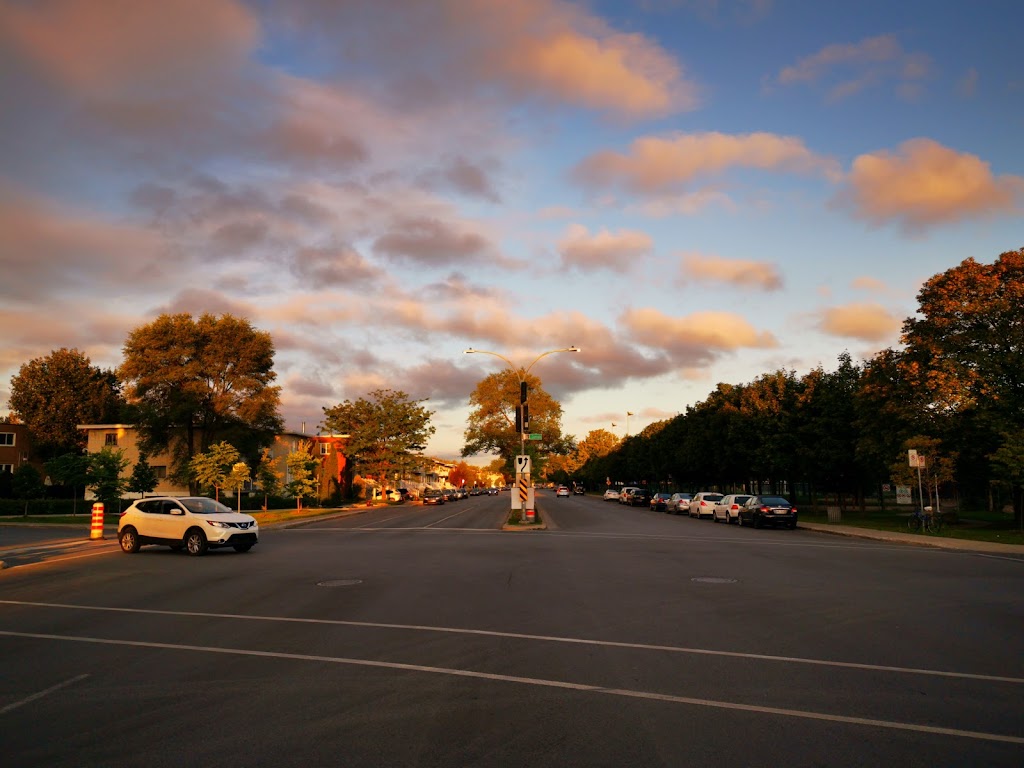 Lasalle Community Comprehensive High School | 240 9e Av, LaSalle, QC H8P 2N9, Canada | Phone: (514) 595-2050
