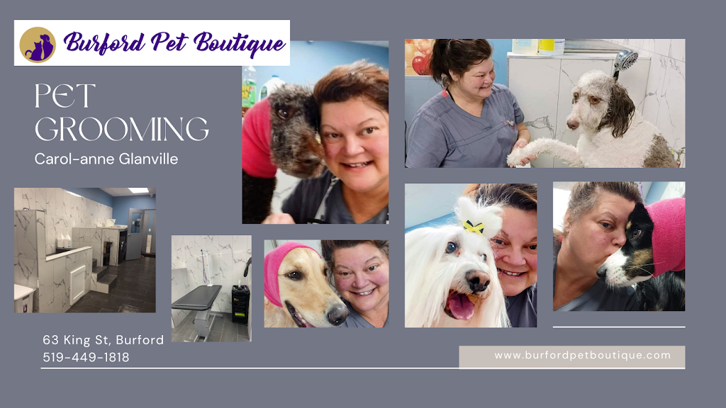 Burford Pet Boutique | 63 King St, Burford, ON N0E 1A0, Canada | Phone: (519) 449-1818