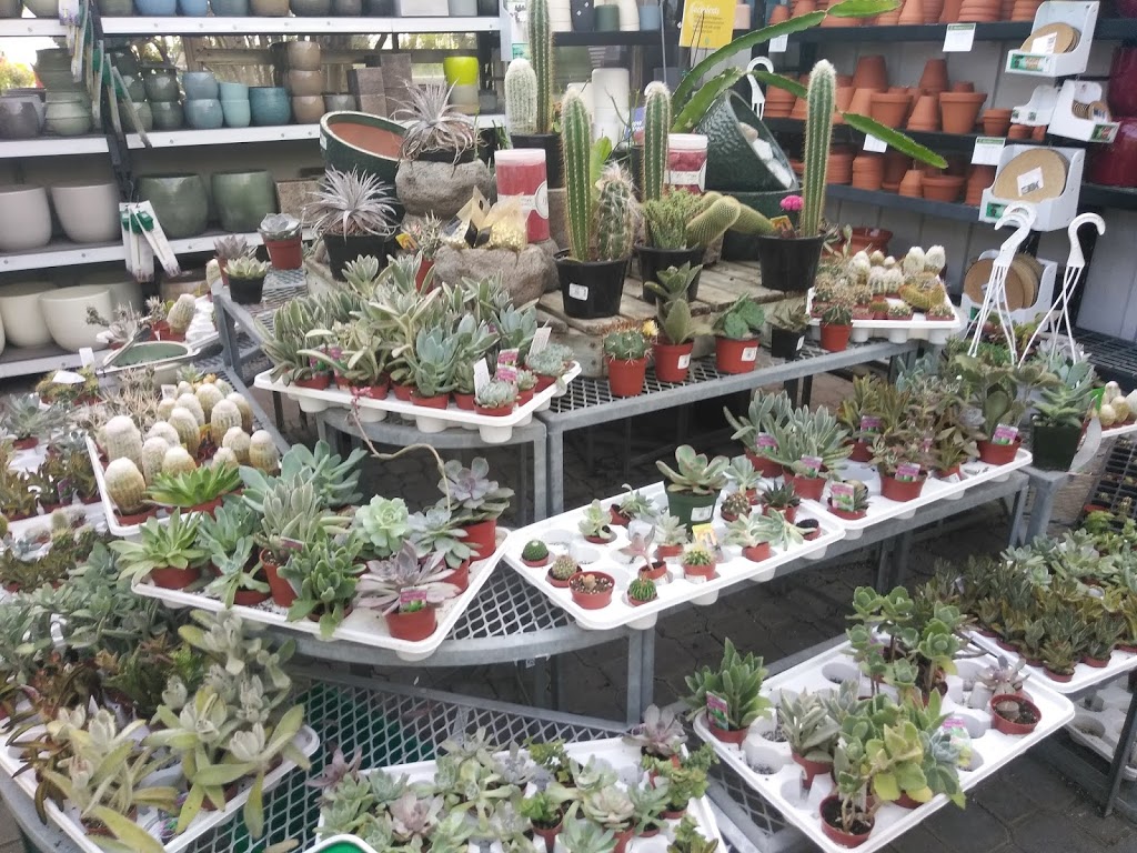 Sheridan Nurseries Limited | 100 Elmsdale Dr, Kitchener, ON N2E 1H6, Canada | Phone: (519) 743-4146