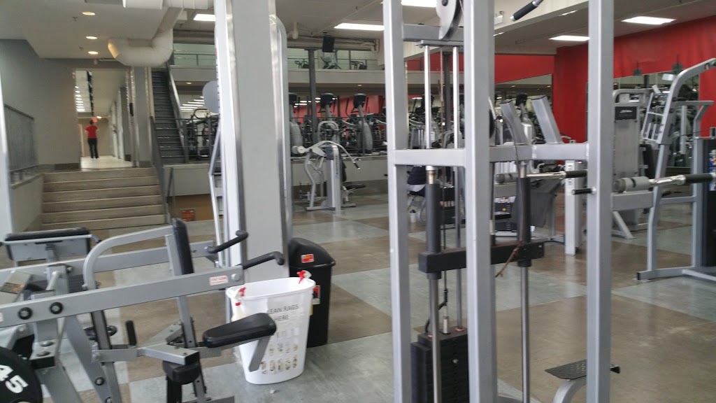 Crunch Fitness - Brampton South | 40 Hansen Rd S, Brampton, ON L6W 3H4, Canada | Phone: (905) 230-4460
