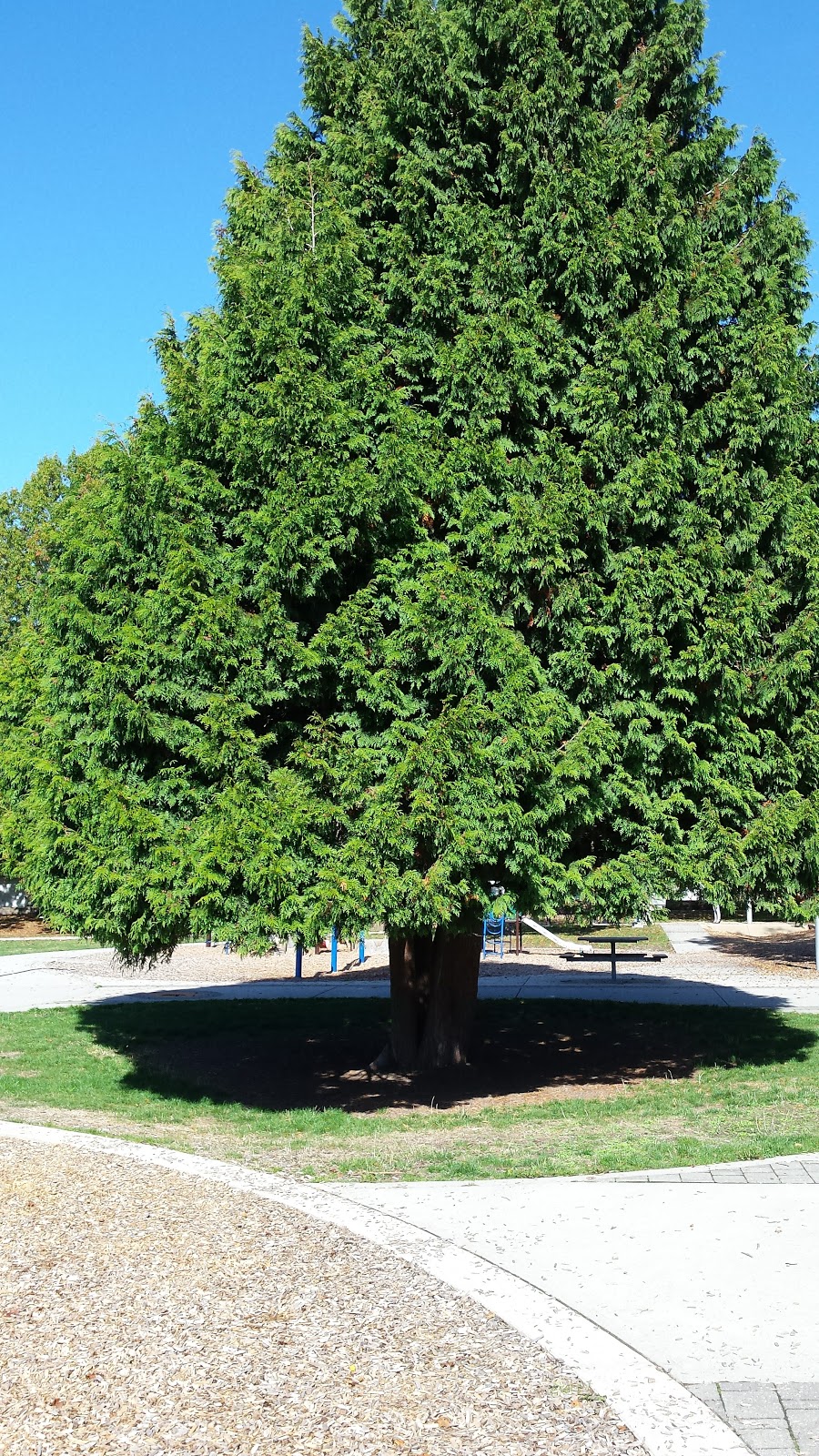 Fraserview Park | 7595 Victoria Dr, Vancouver, BC V5P, Canada