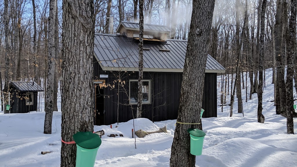 Neil Browns Farm Maple Syrup | 1215 Eureka Rd, Gooderham, ON K0M 1R0, Canada | Phone: (519) 242-4063