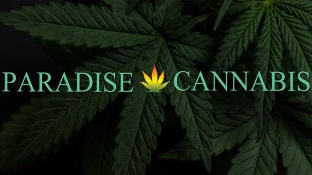 Paradise Cannabis | 427 Garrison Rd, Fort Erie, ON L2A 1N2, Canada | Phone: (289) 320-9420