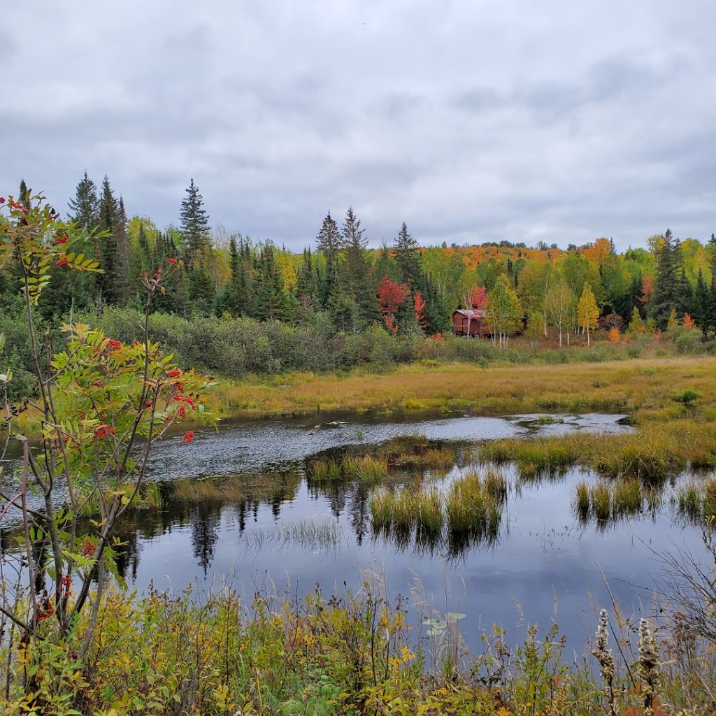 Four Seasons Algonquin Cabins | 14 Major Lake Rd, Madawaska, ON K0J 2C0, Canada | Phone: (705) 809-1392