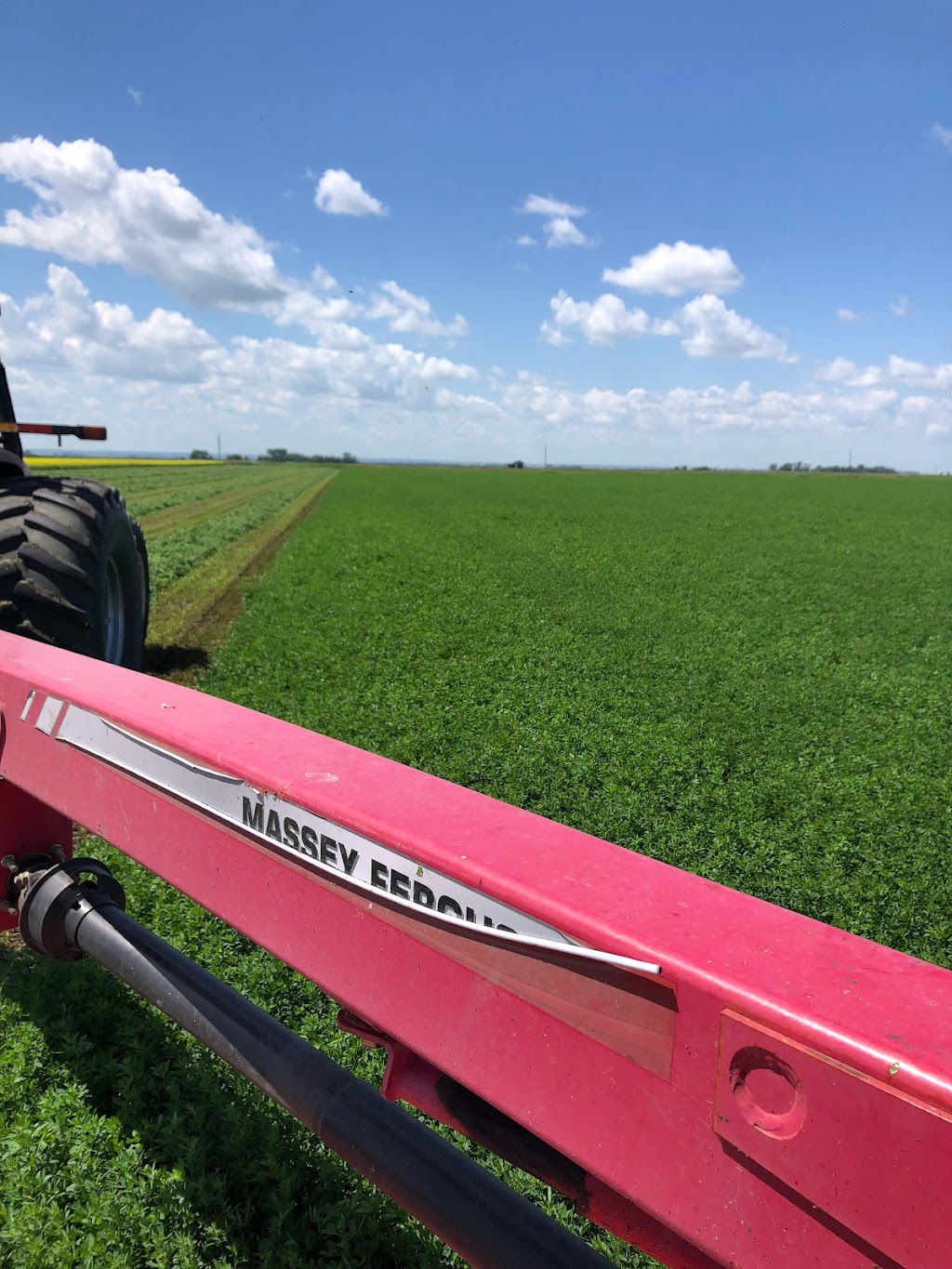Avodah Farms | 12077 Rd 26 W, Thornhill, MB R6T 0B9, Canada | Phone: (204) 362-8675
