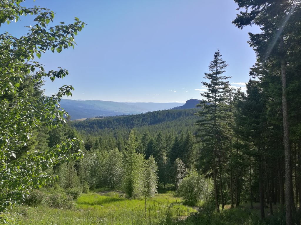 Wild Nature B&B | 7096 Goudie Rd, Kelowna, BC V1P 1H7, Canada | Phone: (250) 765-8833