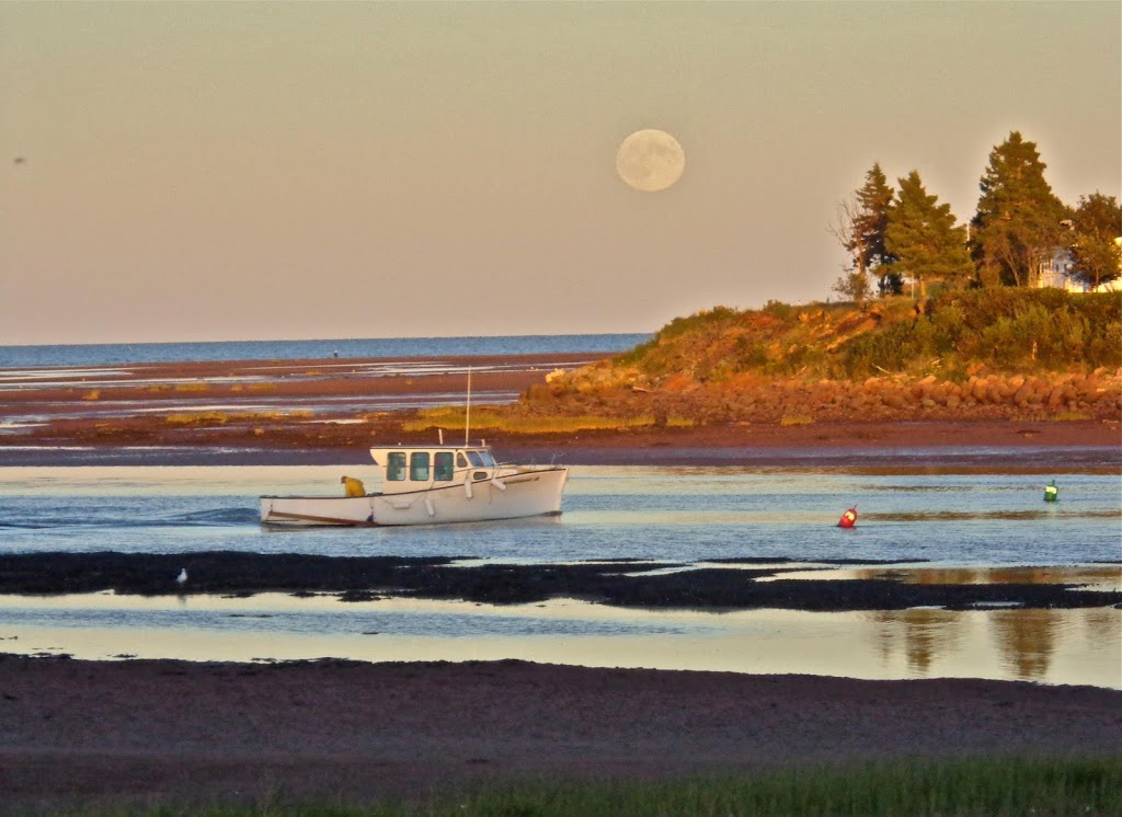 Blue Heron Gallery | 11 Beatons Bluff, Amherst, NS B4H 3X9, Canada | Phone: (902) 661-1089