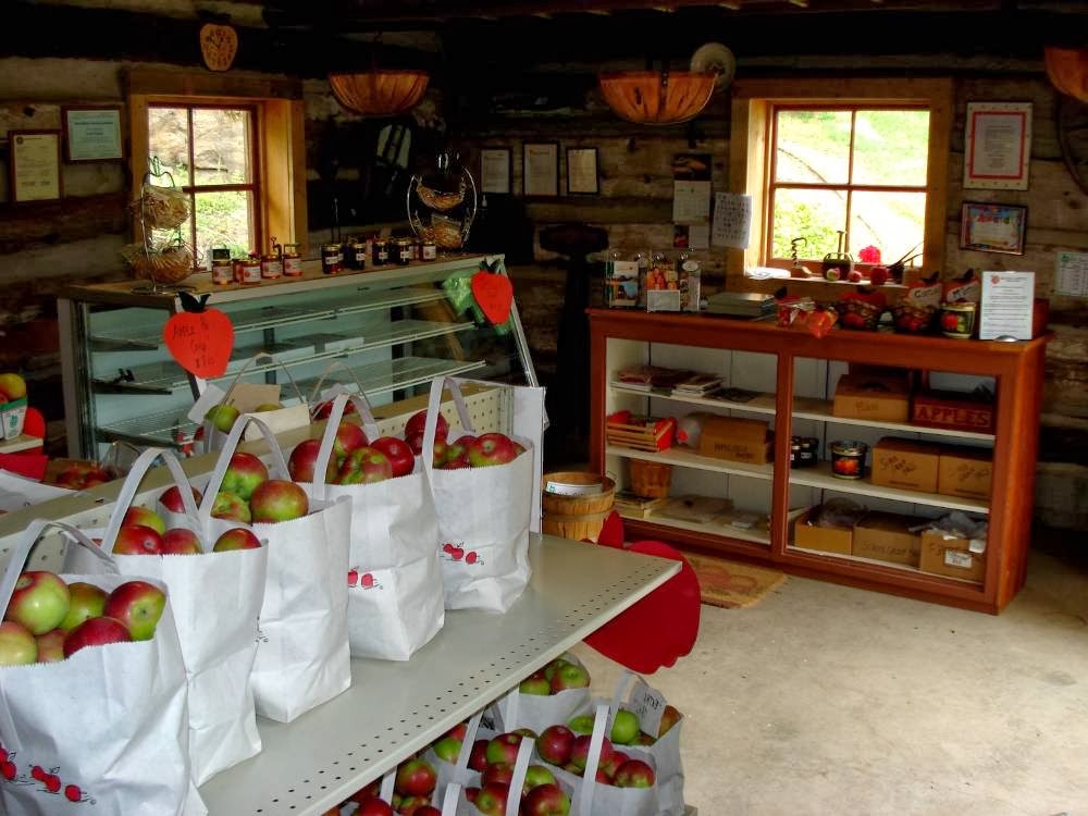 Waddell Apples | 1345 Washburn Rd, Seeleys Bay, ON K0H 2N0, Canada | Phone: (613) 546-1690