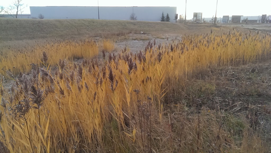 Petro-Canada | 2515 50 Ave SE, Calgary, AB T2B 3R8, Canada