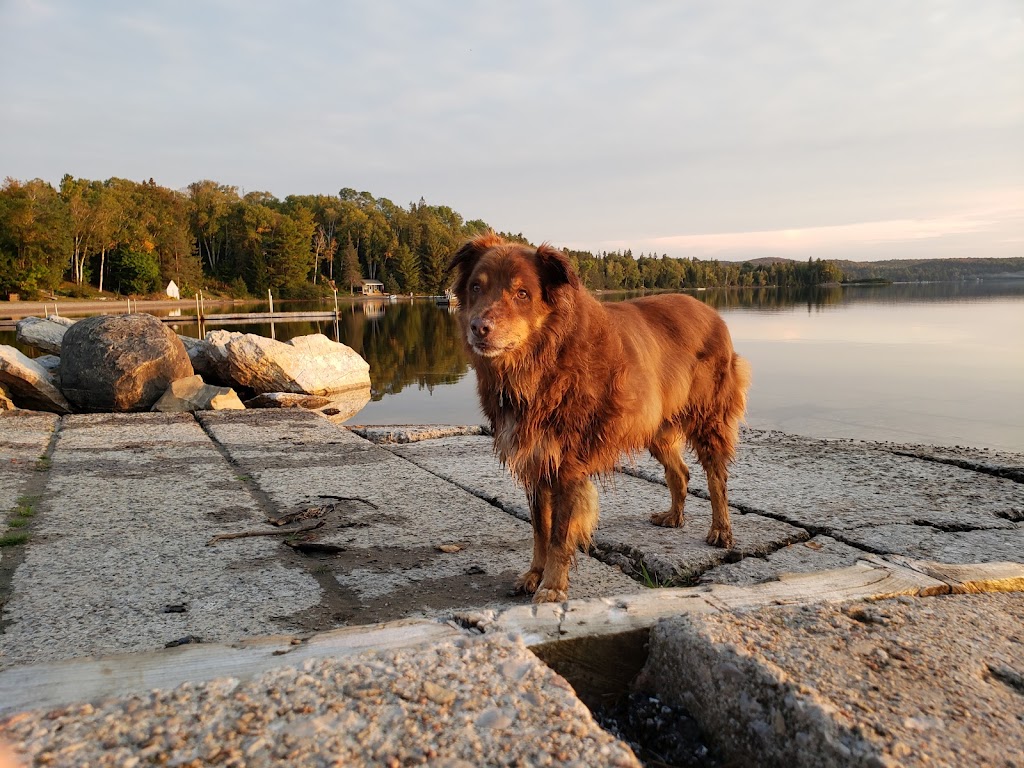 Sandhurst Resort | 40 Boat Ramp Rd, Kearney, ON P0A 1M0, Canada | Phone: (705) 636-7705