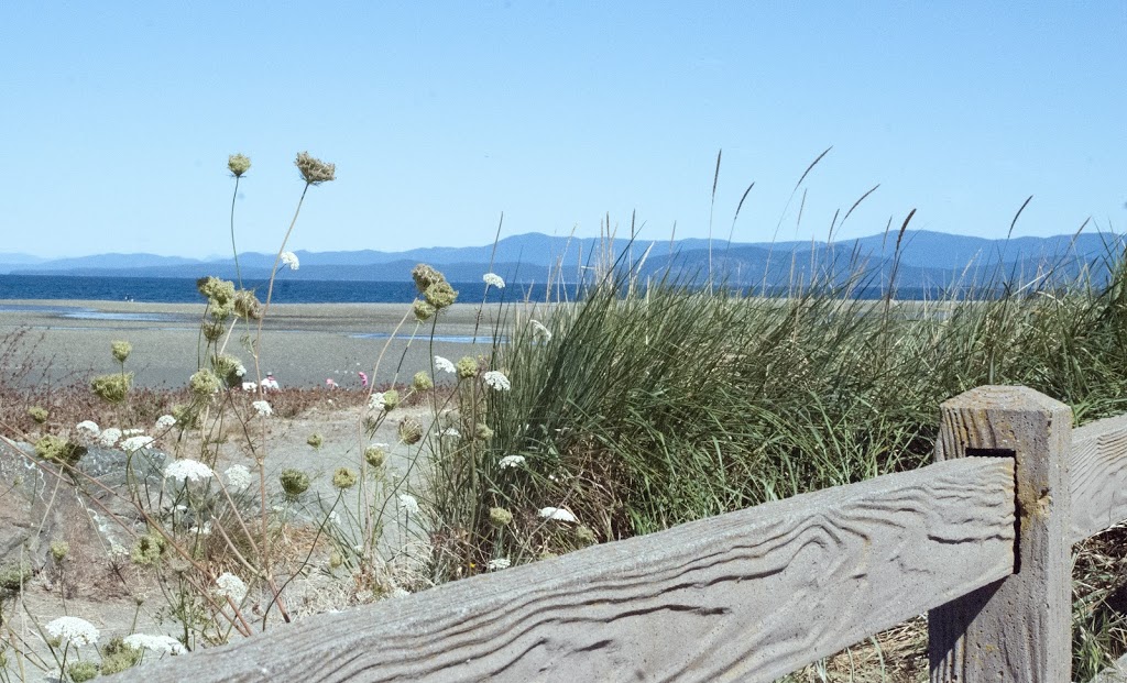 Parksville & District Chamber of Commerce and Visitor Centre | 1275 Island Hwy E, Parksville, BC V9P 2G3, Canada | Phone: (250) 248-3613