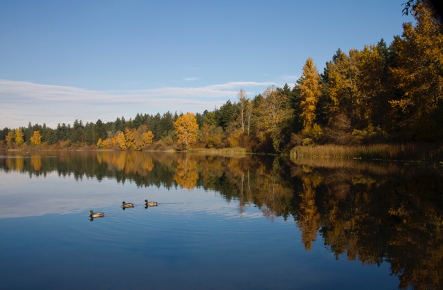 Elk Lake Dentistry | 5401 Hamsterley Rd #2, Victoria, BC V8Y 1S4, Canada | Phone: (250) 382-5253