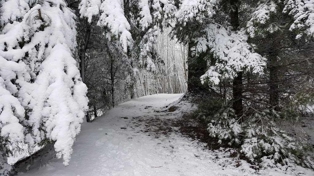 Bert Flinn Trails | David Ave, Port Moody, BC V3H 4Z7, Canada | Phone: (604) 469-4676