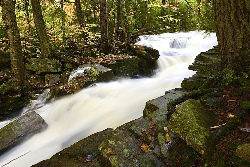 Canadian Adventure Expeditions | 1148 Dwight Beach Rd, Dwight, ON P0A 1H0, Canada | Phone: (705) 571-3007
