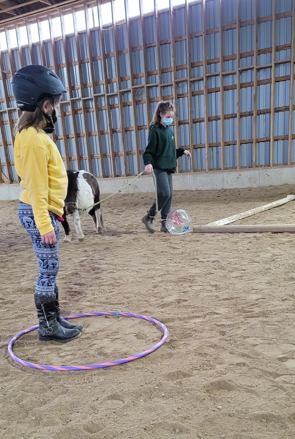Transitions Equine Assisted Learning | 675671 16 Line, Innerkip, ON N0J 1M0, Canada | Phone: (226) 232-5410