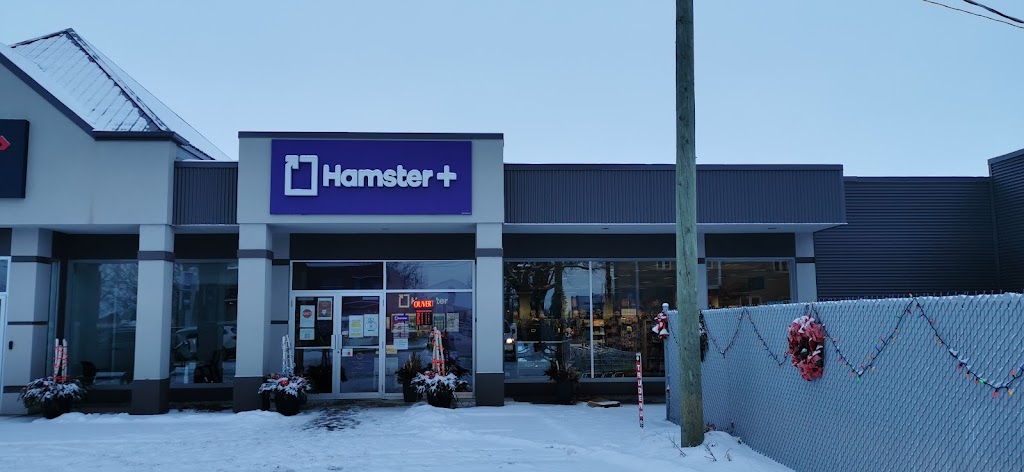 Hamster | Buro & Cie | 725 Rue Notre Dame, Saint-Rémi, QC J0L 2L0, Canada | Phone: (450) 454-6065
