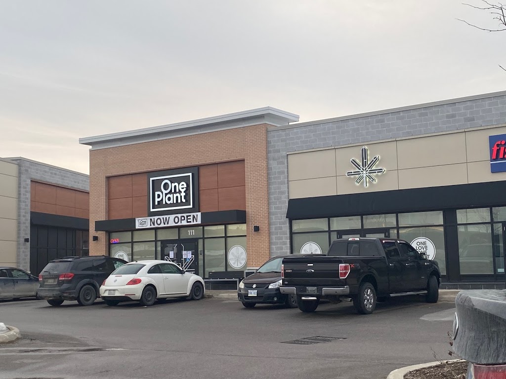 One Plant Cannabis Dispensary | 627 Cundles Rd E, Barrie, ON L4M 0G9, Canada | Phone: (705) 737-4554