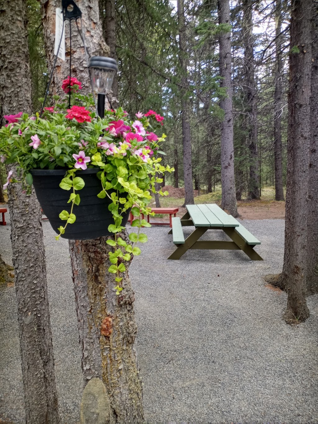 Upper Shunda Creek Campground | 405058 Shunda Creek Road, Nordegg, AB T0M 2H0, Canada | Phone: (403) 844-1293