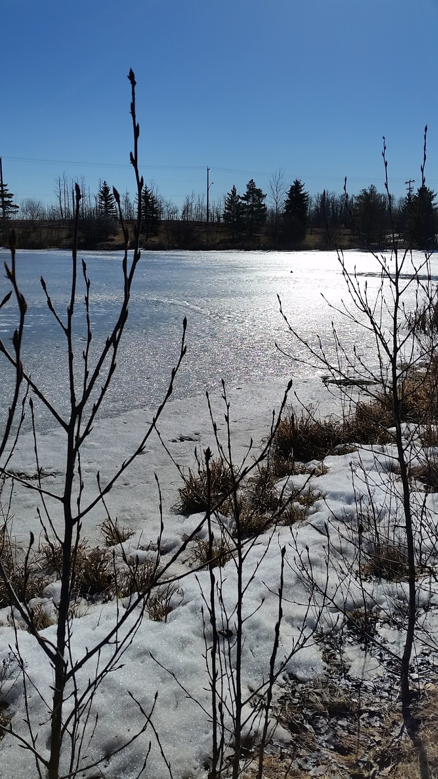 Christopher Cruz Park | 1305 Potter Greens Dr NW, Edmonton, AB T5T 6A3, Canada