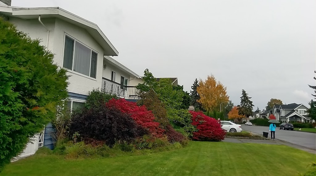 Lex International Services | 11560 Lapwing Crescent, Richmond, BC V7E 4E7, Canada | Phone: (604) 271-0344