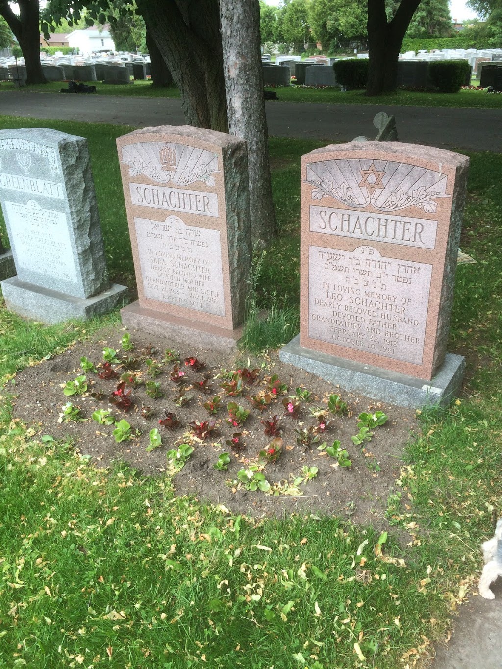 The Dawes Road Cemeteries | 3169 St Clair Ave E, Scarborough, ON M1L 1V5, Canada | Phone: (416) 755-3411
