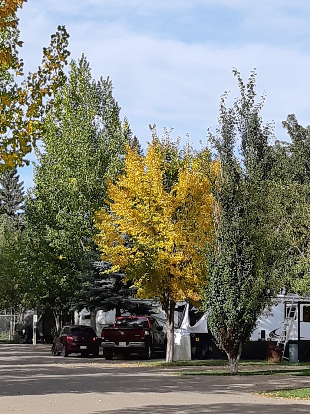 Westerner Campground Ltd | 4847 19 St, Red Deer, AB T4R 2N7, Canada | Phone: (403) 352-8801