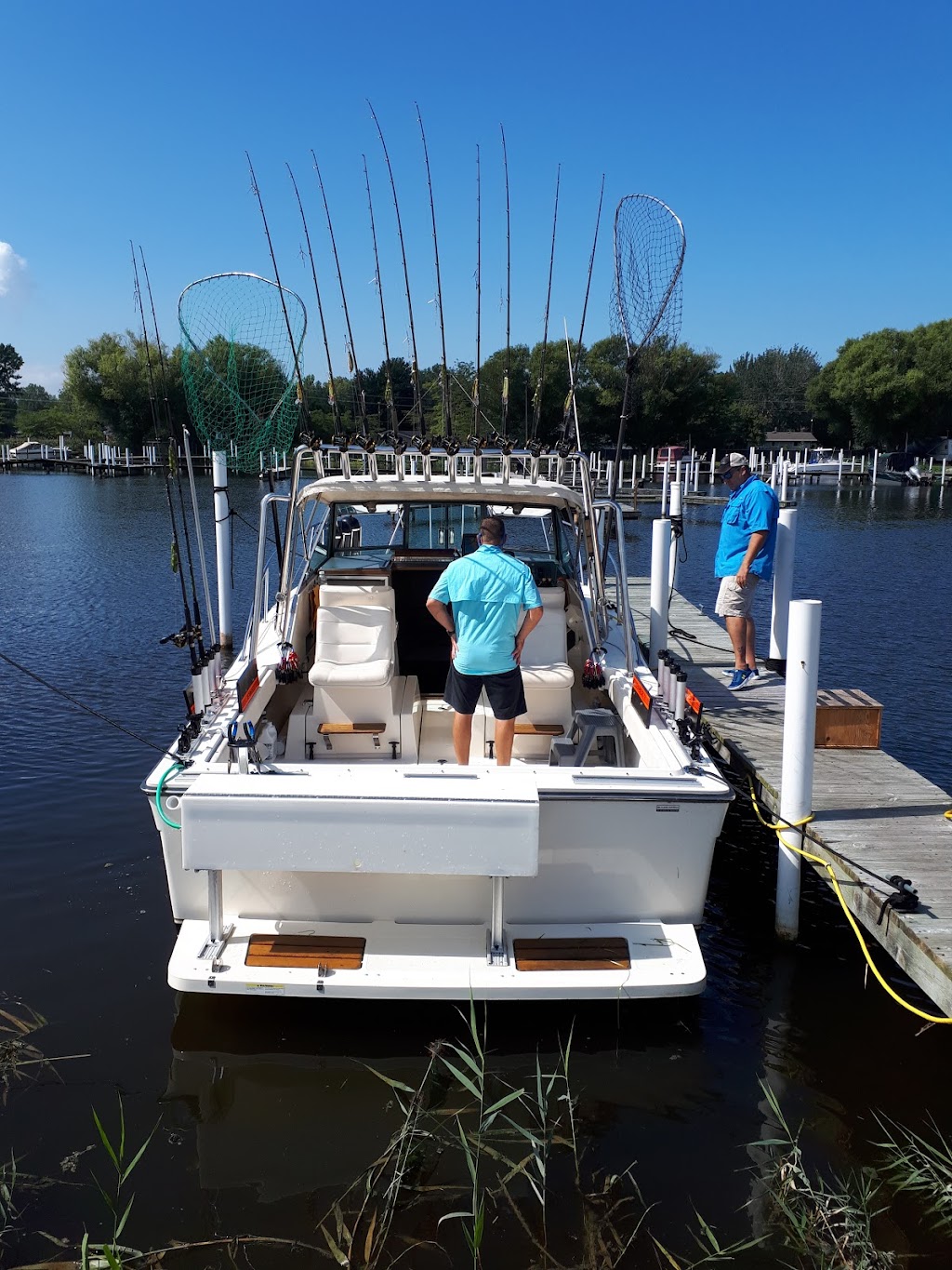 Cove Marina | Tilbury, ON, 470 Tisdelle Dr, Tilbury, ON N0P 2L0, Canada | Phone: (519) 682-3841