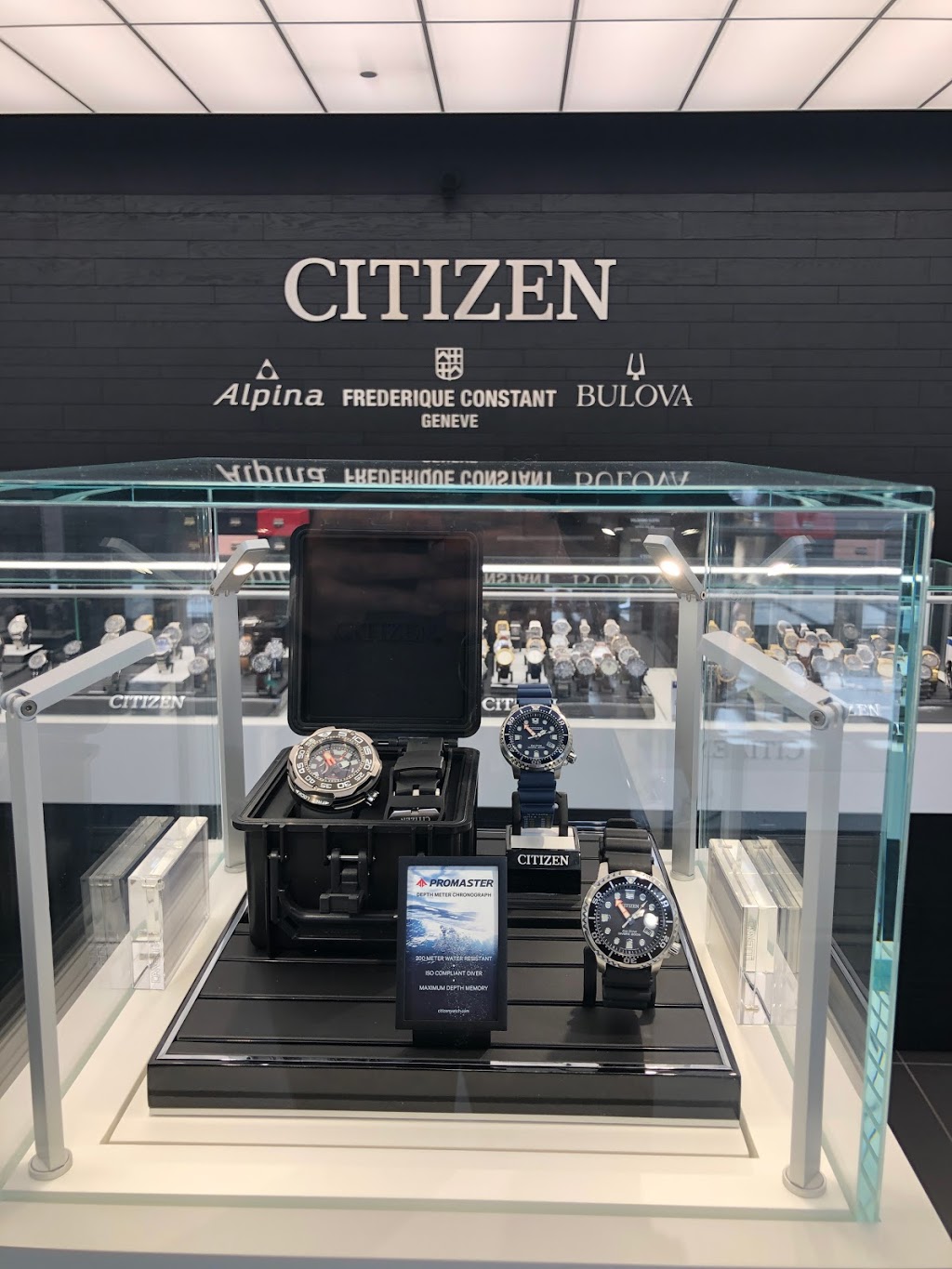 citizen watch store