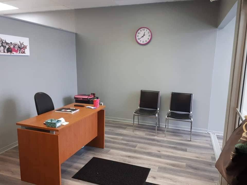 Toilettage Beaute Canin Mercier | 755-C Boulevard Saint-Jean-Baptiste, Mercier, QC J6R 1G1, Canada | Phone: (450) 201-0899