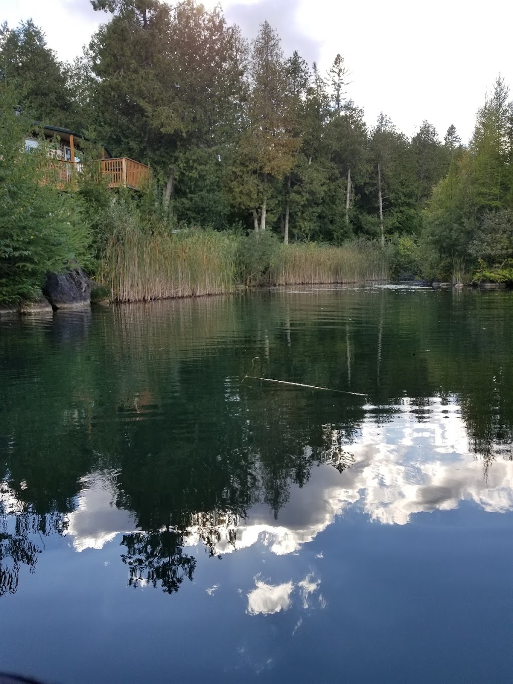 Gathering Place on Golden Ponds B & B (The) | 2635 Old Hastings Rd, Coe Hill, ON K0L 1P0, Canada | Phone: (613) 337-5177