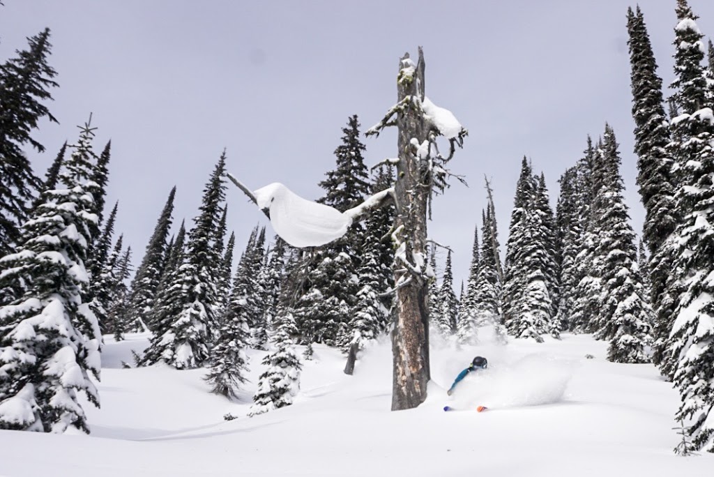 Grizzly Basin | 6301 Robert Rd, Jaffray, BC V0B 1T0, Canada | Phone: (250) 417-6696