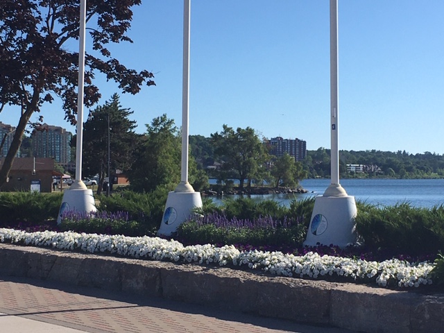 Michael Argue CPA Professional Corporation | 11 Victoria St #215, Barrie, ON L4N 6T3, Canada | Phone: (705) 727-0944