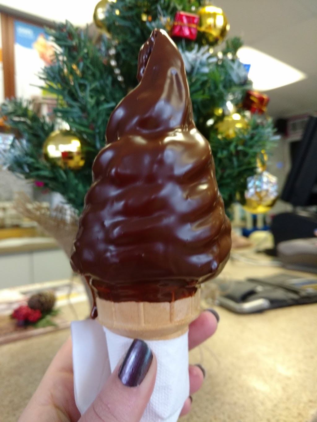Beaver Tails | 220 Boulevard Ste Anne, Sainte-Anne-des-Plaines, QC J0N 1H0, Canada