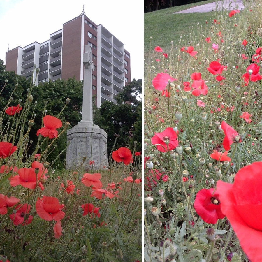 Cenotaph Park | 29 Stavebank Rd, Mississauga, ON L5G 2T5, Canada | Phone: (306) 435-2988