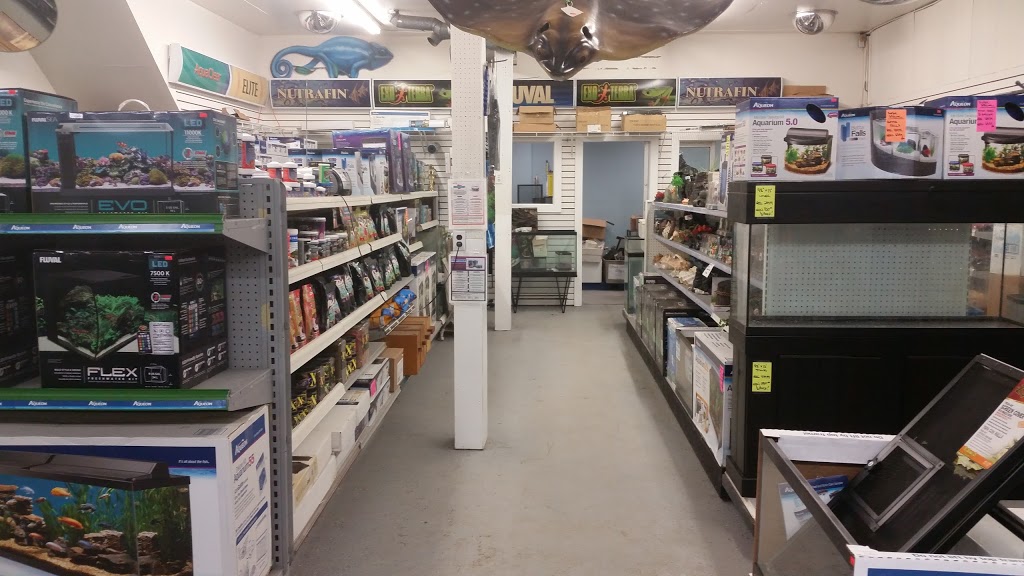 Tropical Fish Room Ltd | 166 Grand River Ave, Brantford, ON N3T 4X6, Canada | Phone: (519) 756-6225