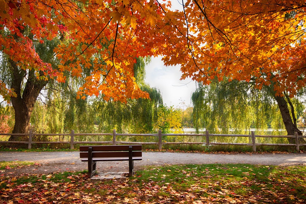 Priscilla Han Real Estate Broker | Your Home Sold Guaranteed, Or | 8901 Woodbine Ave Suite 208, Markham, ON L3R 9Y4, Canada | Phone: (647) 989-3823