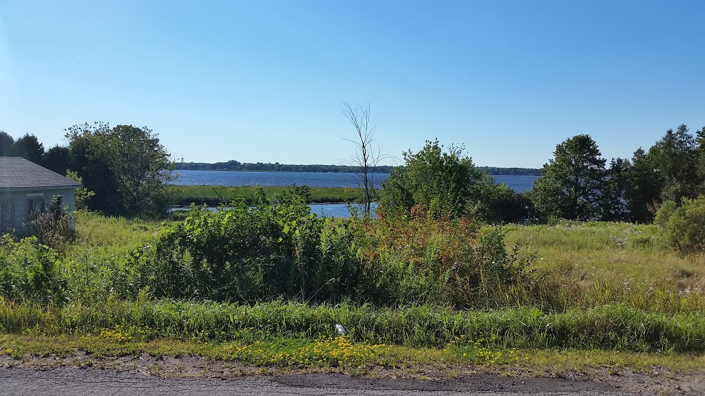 Mechanics on the Trent | 327 Snug Harbour Rd, Lindsay, ON K9V 4R6, Canada | Phone: (705) 341-3077