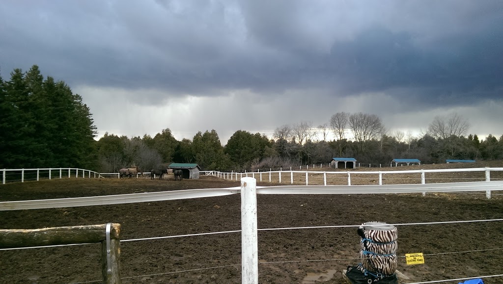 Country Paws Boarding Inc | 1829 Hopewell Creek Rd, Breslau, ON N0B 1M0, Canada | Phone: (519) 648-2611