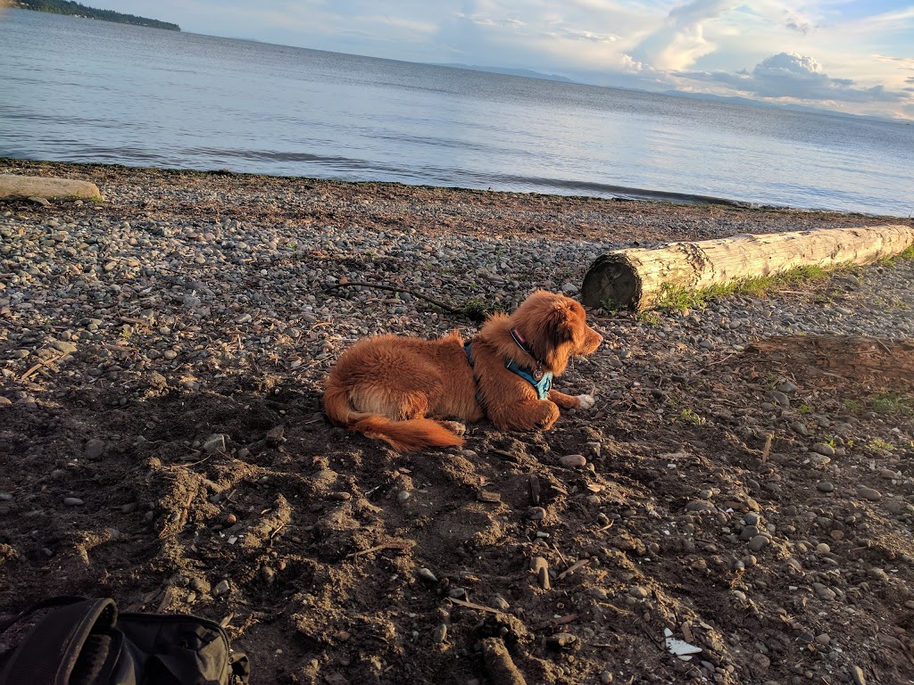 Dog Friendly Beachside Park | 15782 Marine Dr, White Rock, BC V4B 1E6, Canada