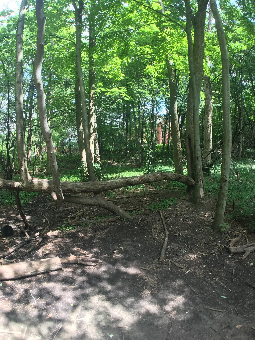 Warbler Woods | 1952-1968 Commissioners Rd W, London, ON N6K 4P4, Canada