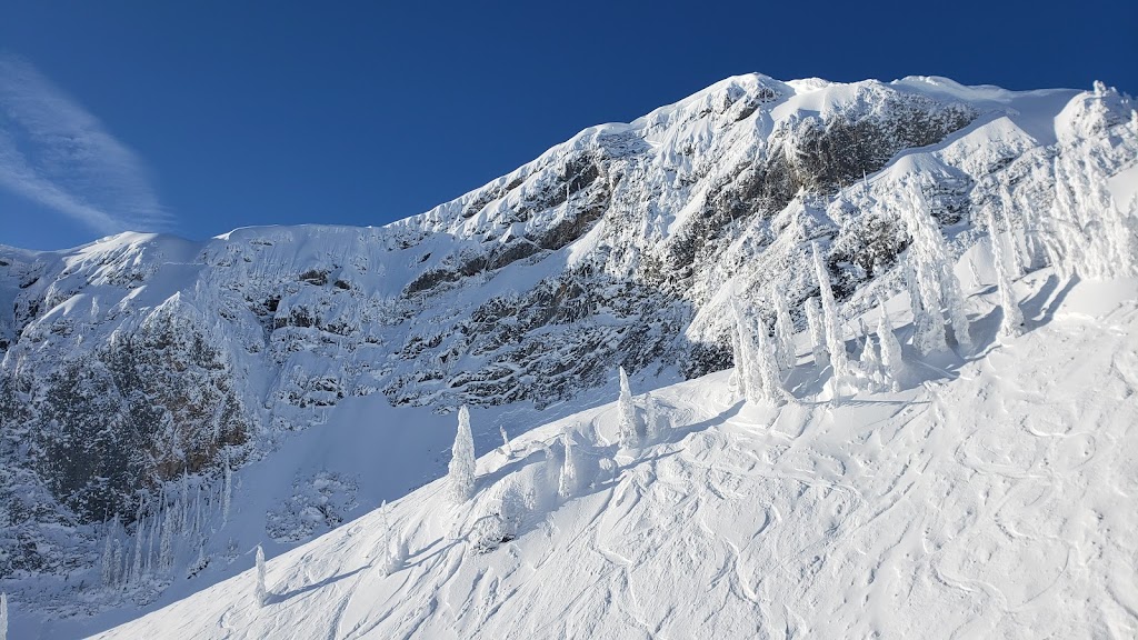 Fernie Alpine Resort | 5339 Fernie Ski Hill Rd, Fernie, BC V0B 1M6, Canada | Phone: (250) 423-4655