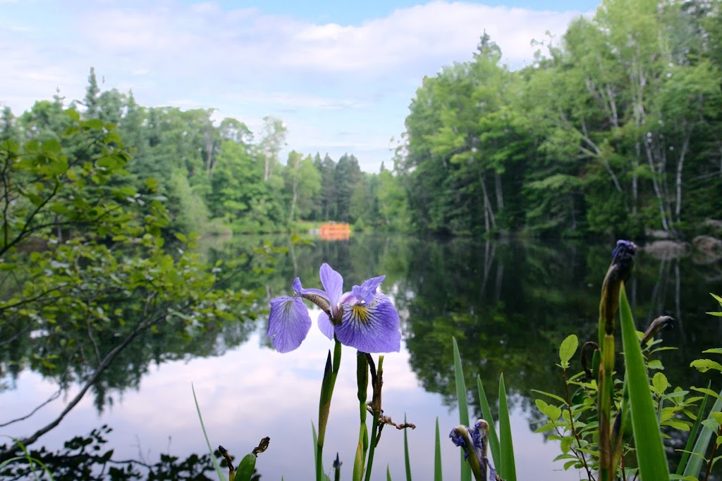 Camping sauvage Domaine Kalina | 6440 Chemin Kalina, Rawdon, QC J0K 1S0, Canada | Phone: (450) 834-8170