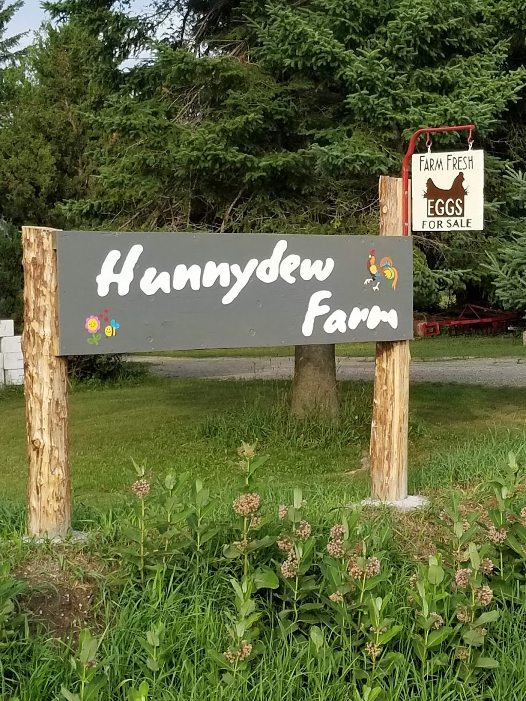 Hunnydew Farm | 5757 6th Line, Hillsburgh, ON N0B 1Z0, Canada | Phone: (519) 767-8164