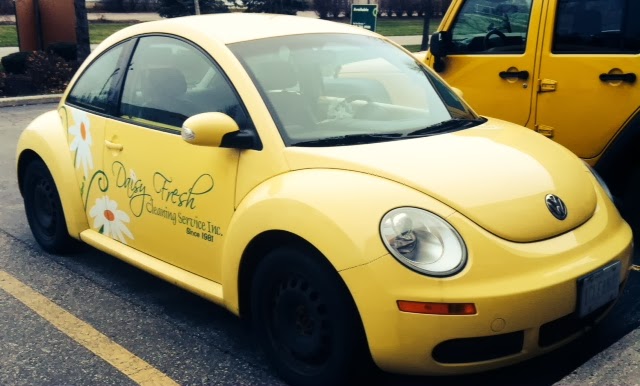 Daisy Fresh Cleaning Service Inc. | 1740 Glasgow St, Kitchener, ON N2N 0A7, Canada | Phone: (519) 742-8922