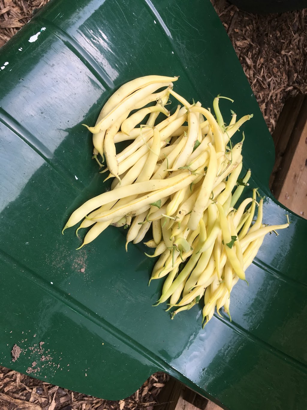 communautaire sault au récollet Garden | 10871 rie du, Montréal, QC H2B 2H3, Canada