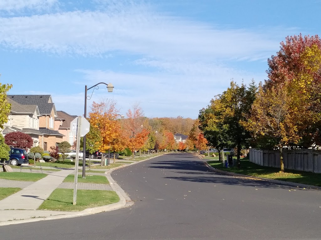 Ashton Meadows Park | 202 Calvert Rd, Markham, ON L6C 1T5, Canada