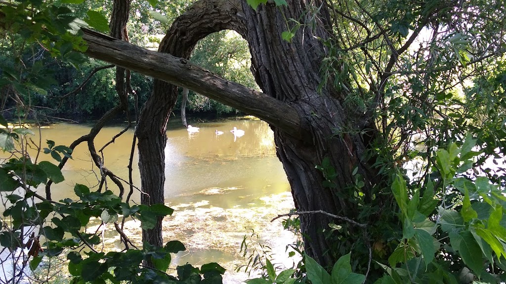 Marshlands Vacation Rental | 207 County Rd 11, Picton, ON K0K 2T0, Canada | Phone: (613) 476-1805
