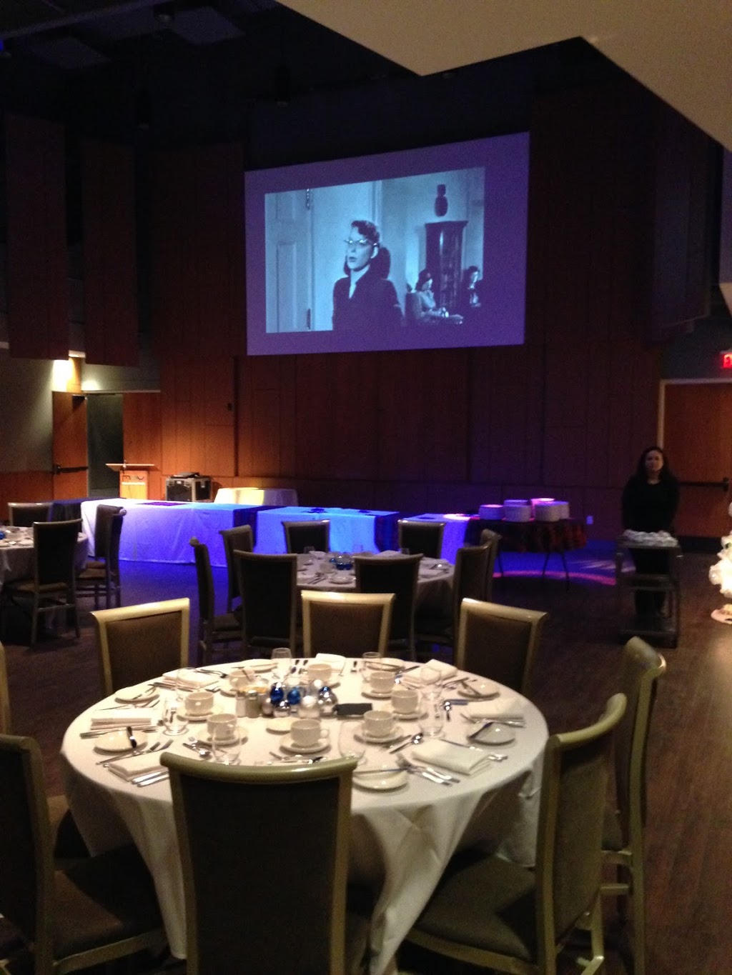 Brûlé Audio Visual | 1770 Golf Link Rd, Tiny, ON L0L 2J0, Canada | Phone: (705) 716-1729