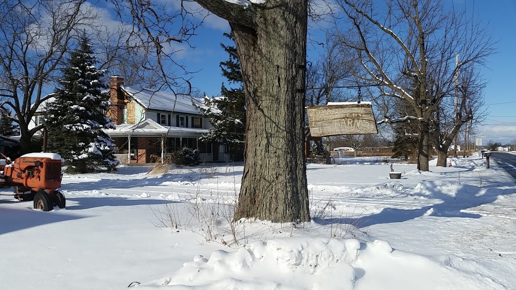 AAA Timberline, Inc. | 6670 Heise Rd, Clarence Center, NY 14032, USA | Phone: (716) 741-2400
