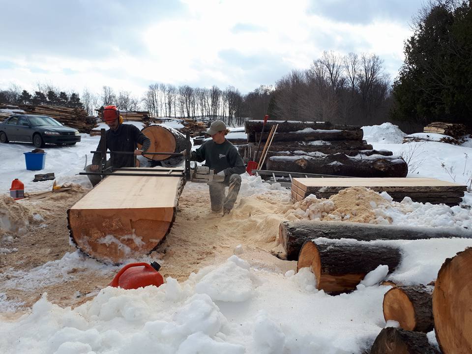 La Cime Arboriculture | 175 Rue Denis, Waterville, QC J0B 3H0, Canada | Phone: (819) 342-9242